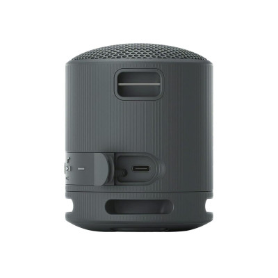 Sony SRS-XB100 Black (SRSXB100B.CE7)