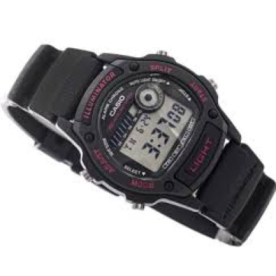 Casio TIMELESS COLLECTION W-220H-1A2VEF 