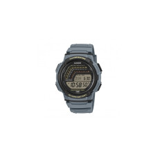 Casio TIMELESS COLLECTION WS-1800-2AVEF 