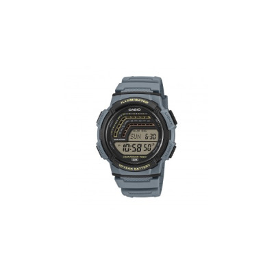 Casio TIMELESS COLLECTION WS-1800-2AVEF 