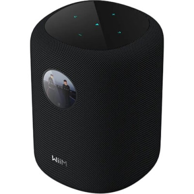 WiiM Sound Black