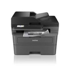 Brother DCP-L2660DW (L2660DWRE1)