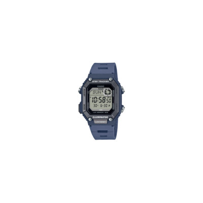 Casio TIMELESS COLLECTION WS-B1000-2AVEF