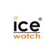  ICE Watch