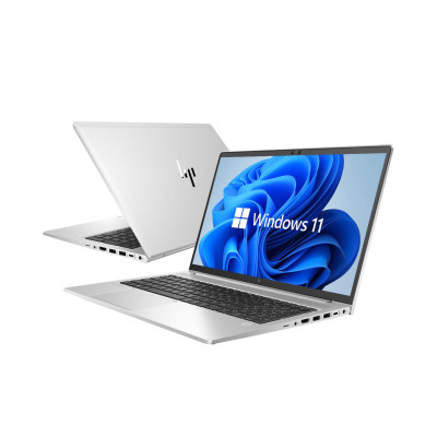 HP EliteBook 655 G9 (6F2L8EA)