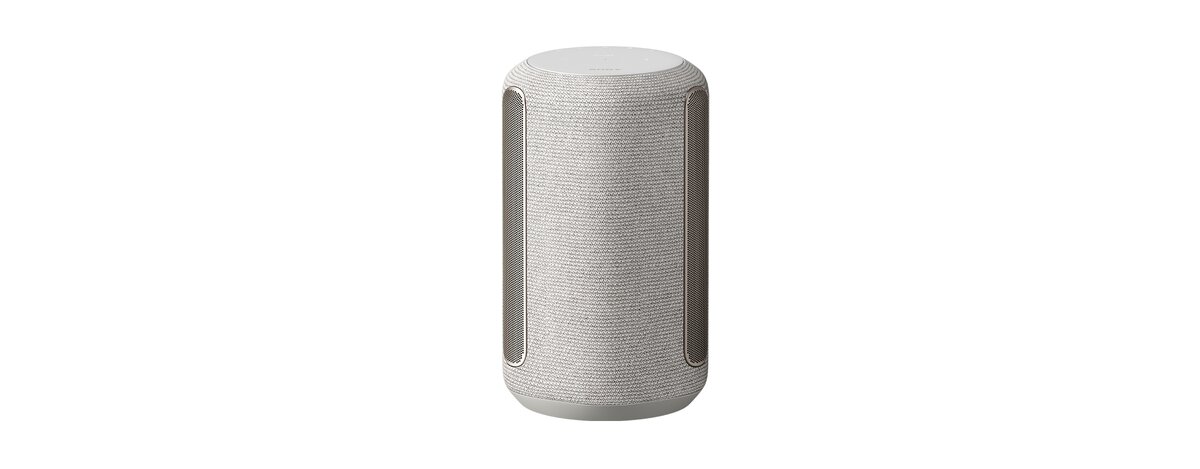 Sony SRS-RA3000 Light gray