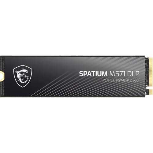 MSI Spatium M571 DLP 2 TB (S78-440Q1K0-P83)
