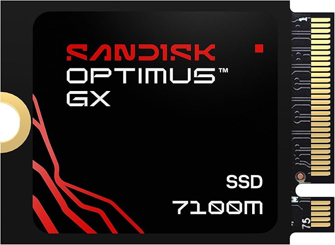 SanDisk Optimus GX 7100M 2 TB (SDSP71200TAT-000E0)