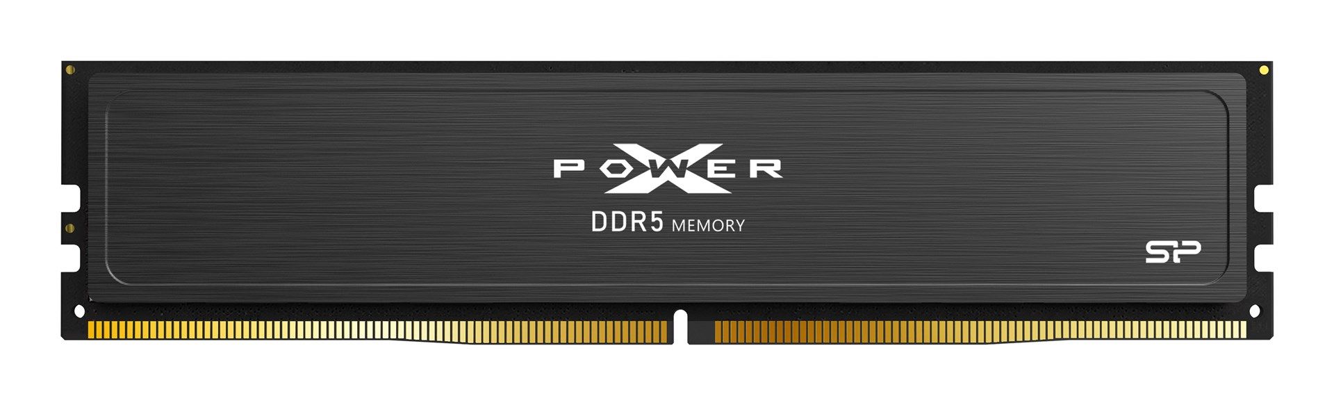 Silicon Power 32 GB DDR5 5600 MHz XPOWER Pulse Gaming Black (SP032GXLWU560FSJ)