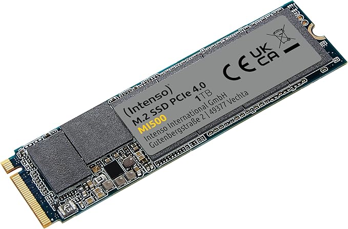 Intenso MI500 1 TB (3836460)