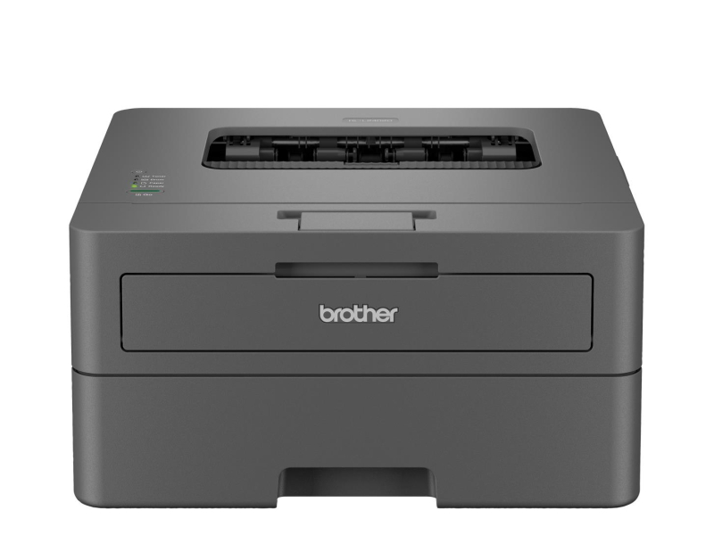 Brother HL-L2402D (HLL2402DYJ1)