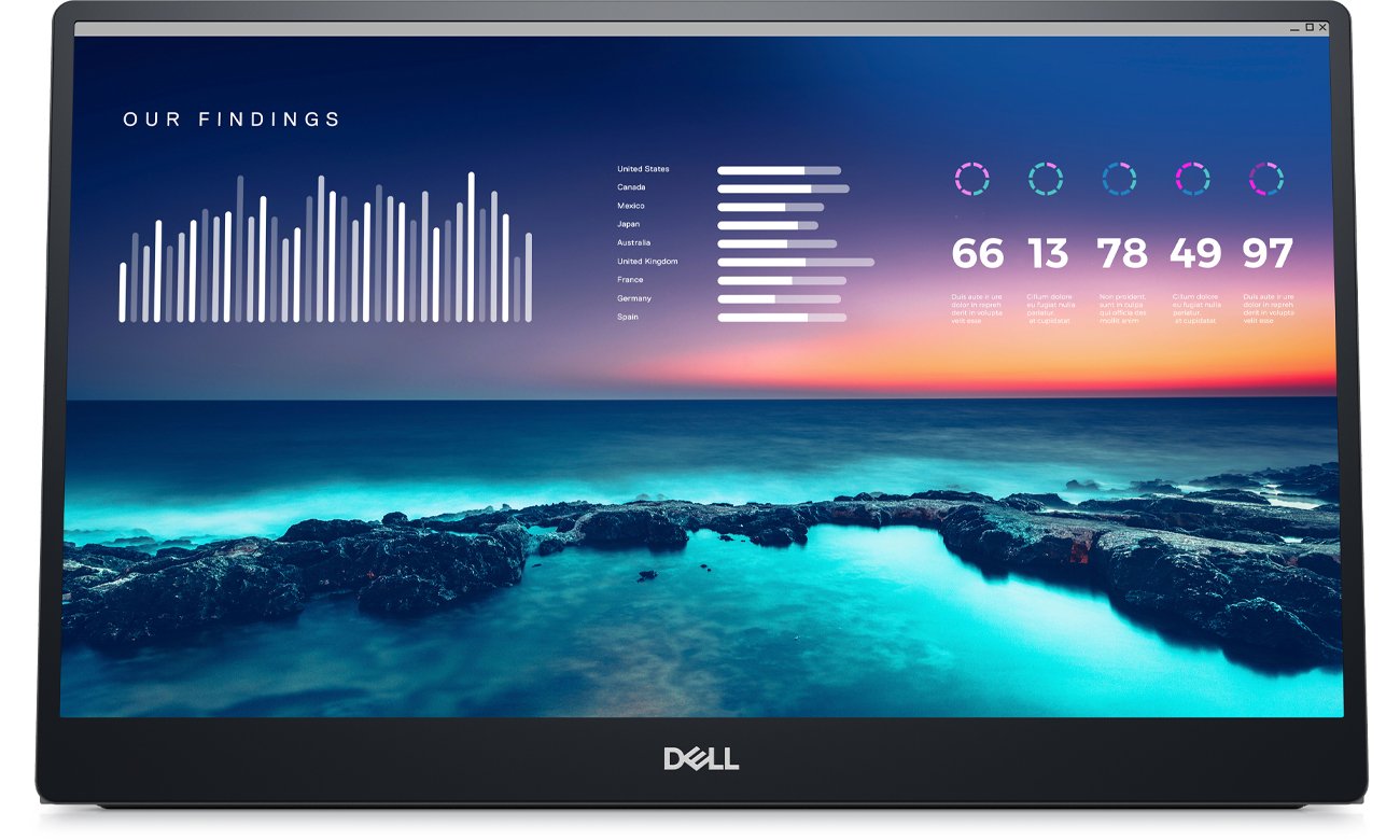 Dell P1424H, вид спереди