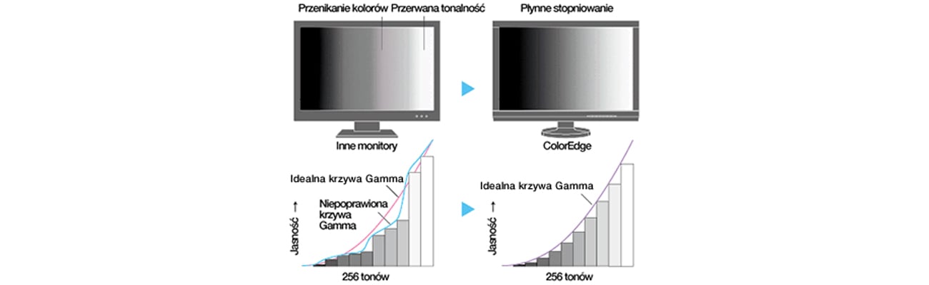 Eizo CG2420-BK Точно подобранные цвета компонентов