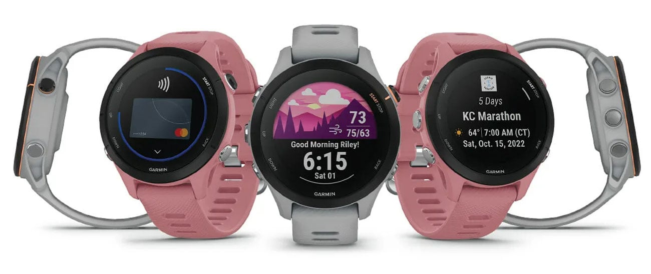 Спортивний годинник Garmin Forerunner 255s сiрий