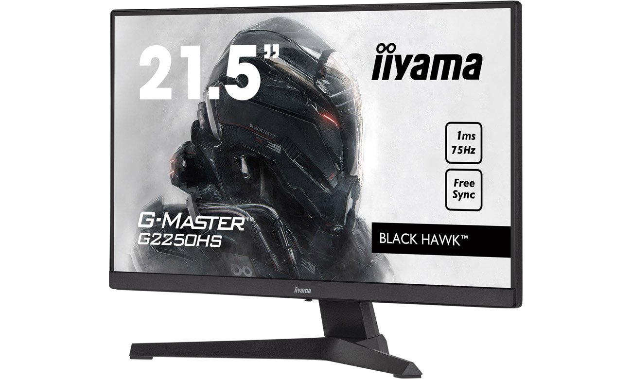 Передній кут iiyama G-Master G2250HS-B1