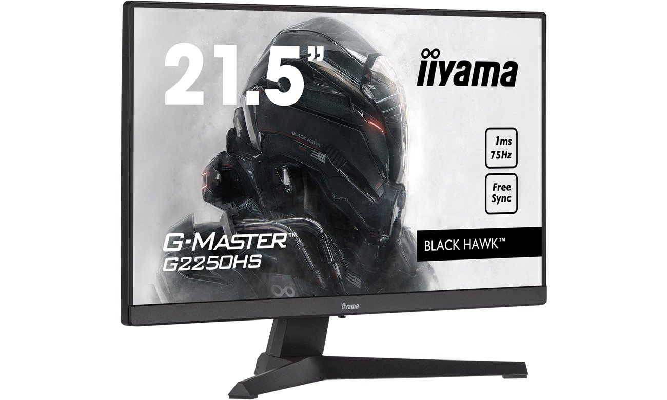 Передній кут iiyama G-Master G2250HS-B1