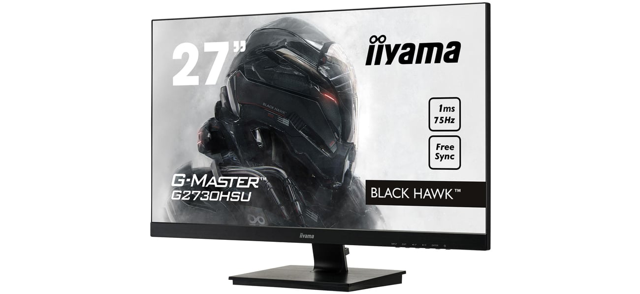 Варианты подключения iiyama G-Master G2730HSU Black Hawk