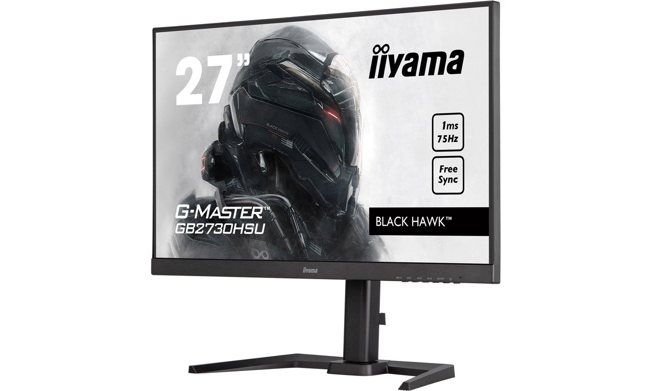 iiyama G-Master G2450HS-B1 передній кут огляду