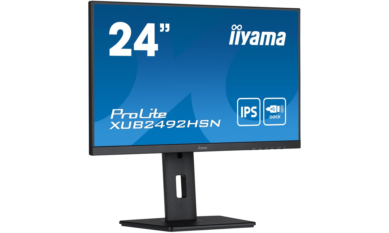 Монитор iiyama Prolite XUB2492HSN-B5