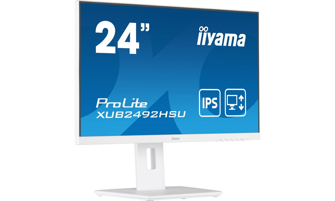 Монитор iiyama ProLite XUB2492HSU-W5