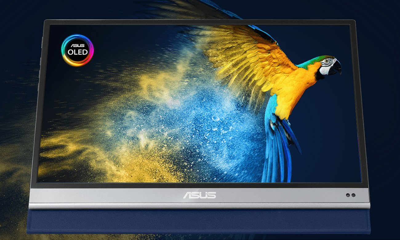 ASUS ZenScreen OLED MQ13AH