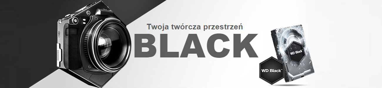 HDD WD 6TB 7200 об/хв 256MB ЧОРНИЙ WD4005FZBX